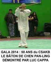 GALA 2014 TAIJI QUAN CHEN PAN-LING par Serge