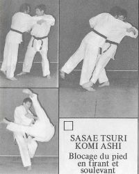 Sasae T-K Ashi par L.Renelleau et C.Thabot